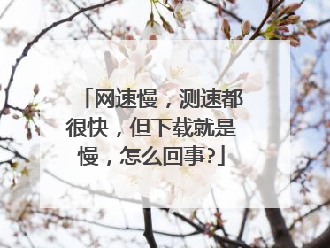 网速慢,测速都很快,但下载就是慢,怎么回事?