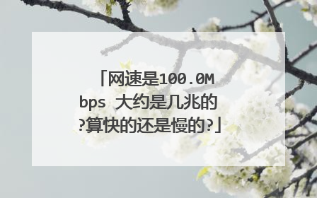 网速是100.0Mbps 大约是几兆的?算快的还是慢的?