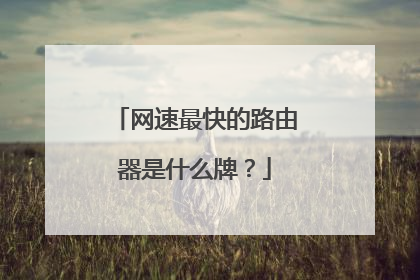 网速最快的路由器是什么牌?