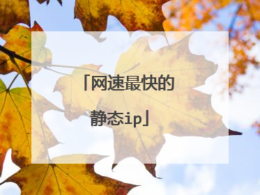 网速最快的静态ip