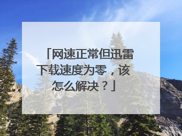 网速正常但迅雷下载速度为零，该怎么解决？