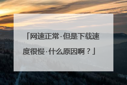 网速正常·但是下载速度很慢·什么原因啊？