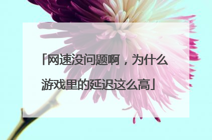 网速没问题啊,为什么游戏里的延迟这么高