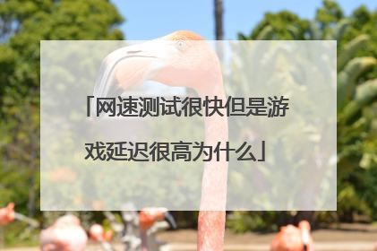 网速测试很快但是游戏延迟很高为什么