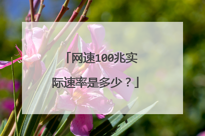 网速100兆实际速率是多少?