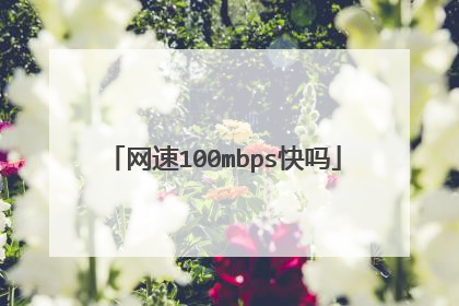 网速100mbps快吗