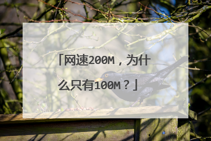 网速200M,为什么只有100M?