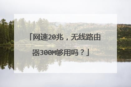 网速20兆，无线路由器300M够用吗？