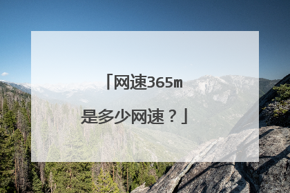 网速365m是多少网速？