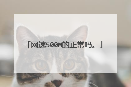 网速500M的正常吗。
