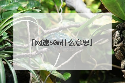 网速50m什么意思