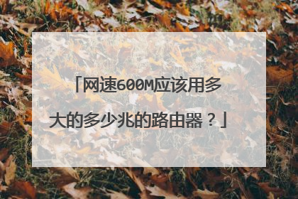 网速600M应该用多大的多少兆的路由器?