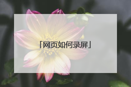 网页如何录屏