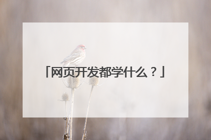 网页开发都学什么？