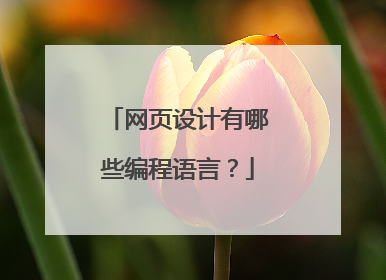 网页设计有哪些编程语言?