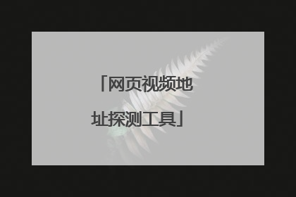 网页视频地址探测工具