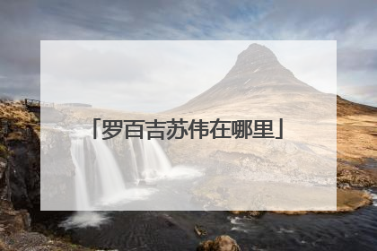 罗百吉苏伟在哪里