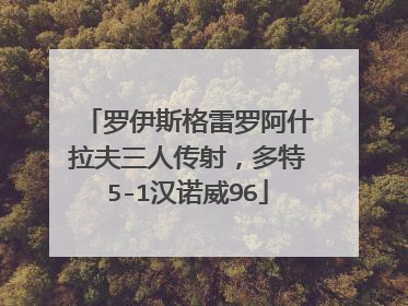 罗伊斯格雷罗阿什拉夫三人传射，多特5-1汉诺威96