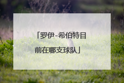 罗伊-希伯特目前在哪支球队