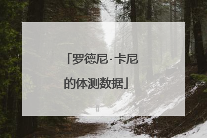 罗德尼·卡尼的体测数据