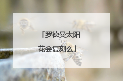 罗德曼太阳花会复刻么