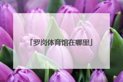 罗岗体育馆在哪里