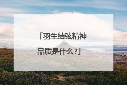 羽生结弦精神品质是什么?