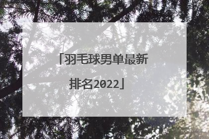 羽毛球男单最新排名2022