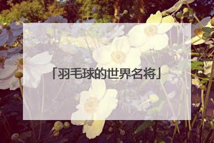 羽毛球的世界名将