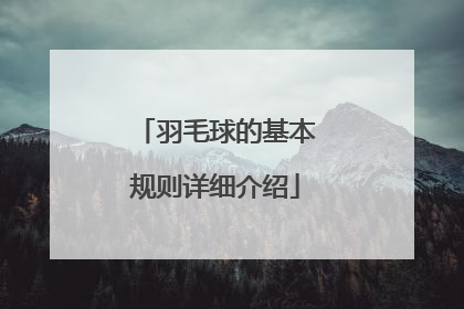 羽毛球的基本规则详细介绍