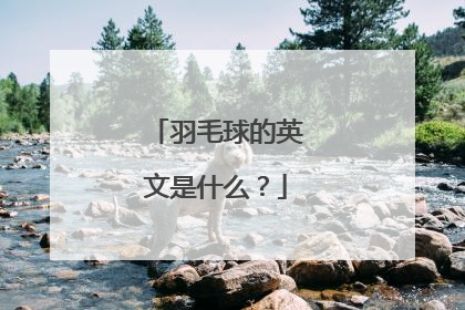 羽毛球的英文是什么？