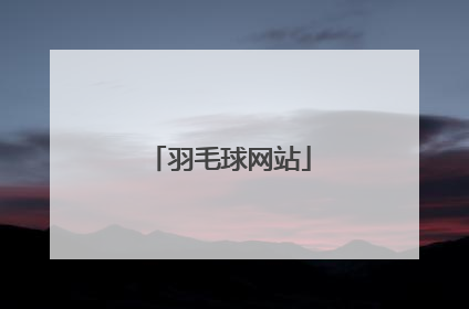 羽毛球网站