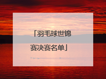 羽毛球世锦赛决赛名单