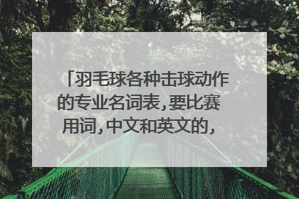 羽毛球各种击球动作的专业名词表,要比赛用词,中文和英文的,有日文的更好.