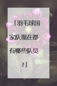 羽毛球国家队现在都有哪些队员?