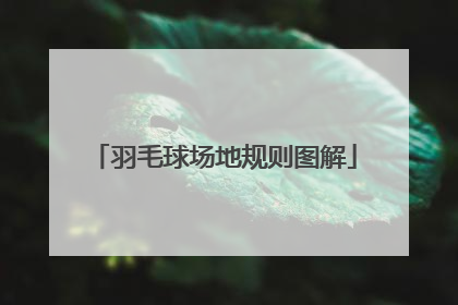 羽毛球场地规则图解