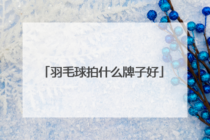 羽毛球拍什么牌子好