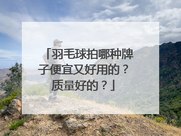 羽毛球拍哪种牌子便宜又好用的?质量好的?