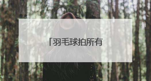 羽毛球拍所有牌子和标志?