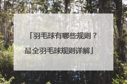 羽毛球有哪些规则？最全羽毛球规则详解