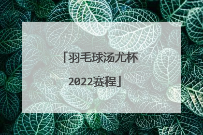 羽毛球汤尤杯2022赛程