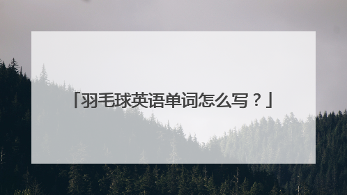 羽毛球英语单词怎么写？
