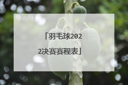 羽毛球2022决赛赛程表