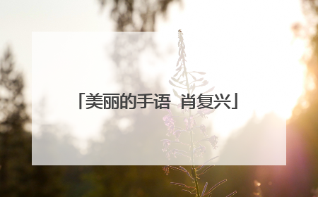 美丽的手语 肖复兴