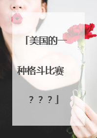 美国的一种格斗比赛???