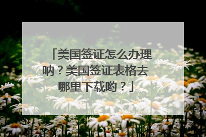 美国签证怎么办理呐？美国签证表格去哪里下载哟？