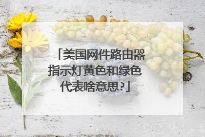 美国网件路由器指示灯黄色和绿色代表啥意思?
