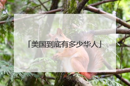 美国到底有多少华人