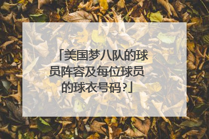 美国梦八队的球员阵容及每位球员的球衣号码?