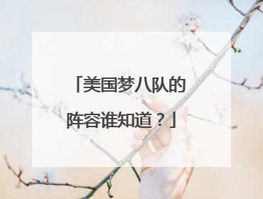 美国梦八队的阵容谁知道？